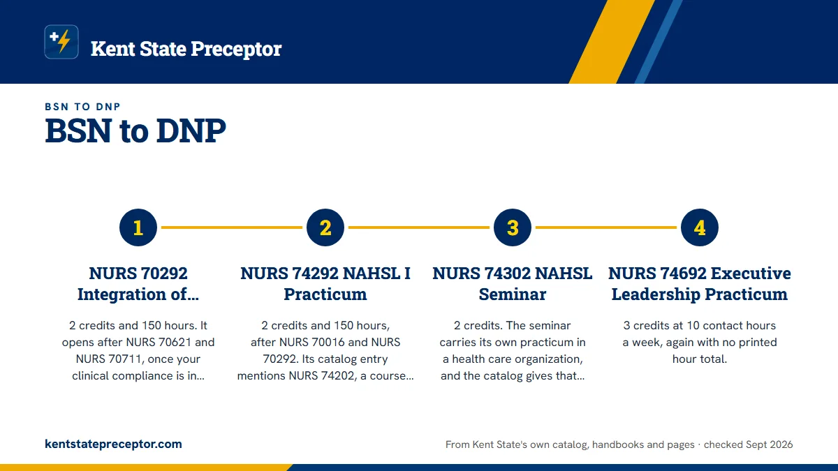Numbered steps. NAEL: leadership practicums inside the DNP: 1 NURS 70292 Integration of Clinical Expertise into the Healthcare Management Role Practicum; 2 NURS 74292 NAHSL I Practicum; 3 NURS 74302 NAHSL Seminar; 4 NURS 74692 Executive Leadership Practicum.